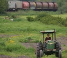Organic Production Has Grown And Become More Sophisticated In Production Strategy In Recent Years. | File Photo