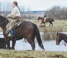 Cow-calf producers can expect several profitable years as they start to retain heifers to rebuild a North American beef herd that is at a multi-decade low. | File photo