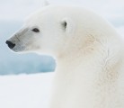 Some climatologists believe the earth is in a cooling trend that will continue until 2030. | File photo