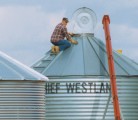 Whether it’s a flat bottomed grain bin on wood, steel, asphalt or concrete, or a hopper bottomed unit, ensure it is thoroughly cleaned before loading this year’s crop. | File photo
