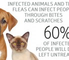 There is evidence to suggest that plague is circulating in the southwestern Prairies, British Columbia, North Dakota and Montana.