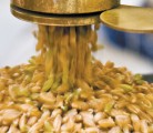 The grain commission released a new fee schedule Nov. 1, outlining services and proposed fees. | File photo