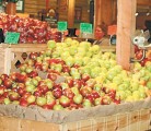 Local food supporters must not forget that safe handling rules and processing methods originated from large-scale food production, says a policy analyst. | File photo