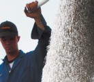 Farmers could enjoy lower nitrogen fertilizer prices if projections about future production projects come true. | File photo