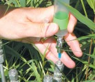 Plant research will be shifted to new locations under a federal plan and some programs will be cut. | File photo
