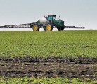Early weed control in canola results in yield advantages at no extra cost to producers. | File photo