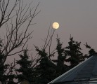 According to a weather expert, producers should stop looking to the moon to predict the weather.