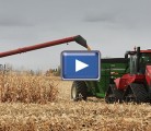 DuPont Pioneer and RisRock Ag held a corn harvest demonstration at North Battleford, Sask. on October 17, 2013. | Michael Raine photo