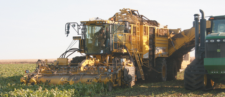The Ropa Tiger Micro Topper is a new addition to the Kamper operation south of Burdett, Alta. It defoliates, digs and cleans sugar beets in one pass. The technology is well known in Europe and parts of the United States but is new to southern Alberta. | Barb Glen photo