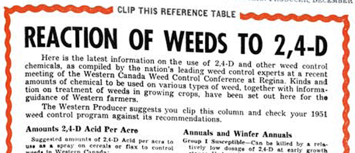 Issue date: Dec. 14, 1950. Initially developed for military use during the Second World War, 2,4-D was the first successful selective herbicide used
to control broadleaf weeds in North America and its use by Canadian farmers
was widespread within a few years of its commercial release in 1946.