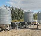 Farmers need to plan for storage, and bin aeration is a key element to prevent grain damage. | File photo