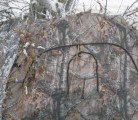The Ameristep Doghouse hunting blind is made of quality materials and sets up easily, even after collapsing under heavy snow. | Tami Zurakowski photo
