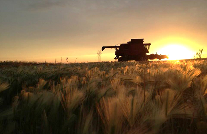 @bihslicksprayin - Another beautiful sunset, wrapping up some wheat swaths #todaysharvestimage by @bihslicksprayin pic.twitter.com/sbOMSsopLV