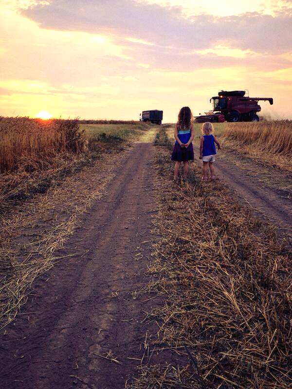 Jay Schultz @WheatlanderJay Another beautiful sunset, wrapping up some wheat swaths #todaysharvestimage by @travis_friesen pic.twitter.com/sbOMSsopLV