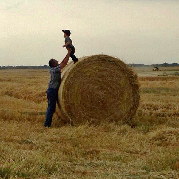 Kristjan Hebert @KristjanHebert @westernproducer supper break fun! #harvest13 pic.twitter.com/qd2AIbfFFD
