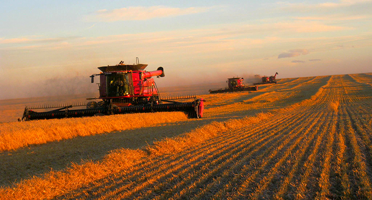 To: newsroom@producer.com Subject: Fwd: harvest pictures Harvest 2013 Lakeside Colony. Cranford Alberta Canada