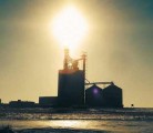 The bitter cold in North America causing sundogs like this one silhouetting an elevator at Davidson, Sask., is stalling transportation of grain and livestock. It also threatens some of the U.S. winter wheat crop, but South American crop areas are enjoying good growing conditions. | Jamie Rothenburger photo