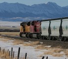 In this week's videocast, hearings over sluggish rail service at the House of Commons Agriculture committee. | Mike Raine photo.