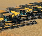 Nick and Matthew Scharf say their 100 plus bushel wheat crop in 2013 was the result of a lot of long hours in the sprayer guided by agronomic advice from Phil Needham. The variety was Sadash and they carefully timed their in-crop nitrogen applications. | Phil Needham photo