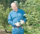 Henning Jensen grows elderberries on his acreage near Yarrow, B.C., selling flowers, berries and bushes. | Karen Morrison photo