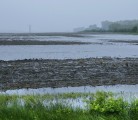 Flash flooding hits east of Yorkton, Sask. on Hwy 15, June 30, 2014. | Robin Booker photo