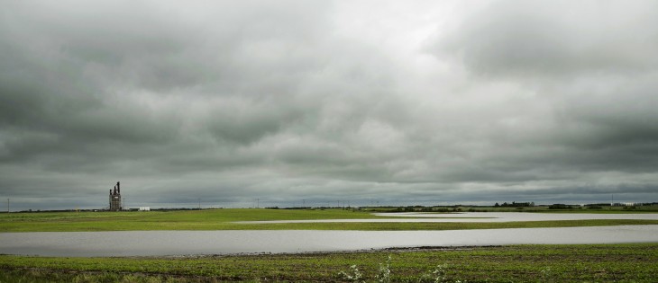Water has collected on a canola field near Vitera terminal 5 Km. east of Waldron. | Robin Booker photo