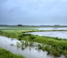 Flash flooding hits east of Yorkton, Sask. on Hwy 15, June 30, 2014. | Robin Booker photo