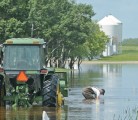 Doug Schofer of Melville, Sask., searches for sandbags that fell off his tractor’s bucket. The road into his farm was flooded but luckily his house, barns and bins were safe. Residents of eastern Saskatchewan and Manitoba scrambled to protect themselves and their belongings from floods last week. Although the water has receded for many, cleanup continues. | William DeKay photo