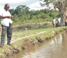 Co-operatives, such as this catfish farm in Uganda photographed in 2008, are seen as a way to improve the lives of millions of people around the world. | File photo