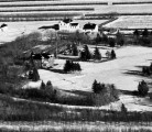 The work of the Forest Nursery Station, shown around 1949, in Sutherland, Sask., dramatically changed the landscape of the Prairies. | Saskatoon public library photo