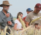 Farmers examine rye plots during a Cypress County field day July 17 organized by the county and the Farming Smarter applied research group. | Barb Glen photo