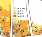 Researchers peg the growth of the frost-free season in central Saskatchewan at five days every 10 years. That’s at least 25 days over a 50 year period. Areas farther south see even more frost-free days, giving farmers a chance to try new crops or recover from delayed seeding. | Source: provincial agriculture departments | Michelle Houlden graphic