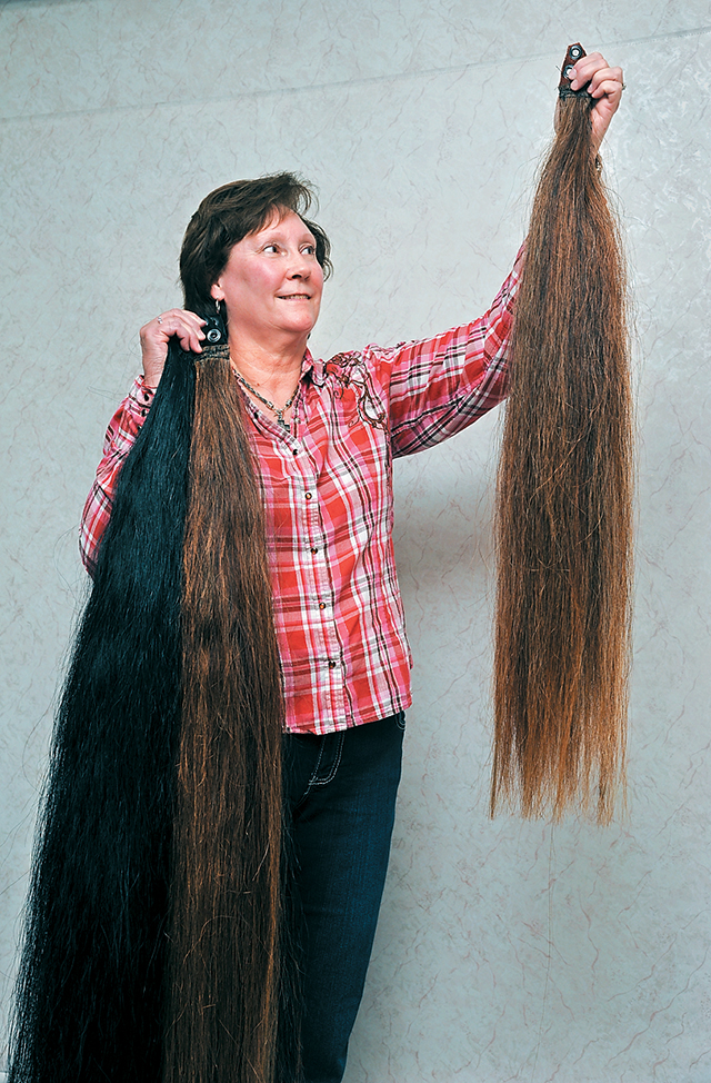 Good hair day from head to tail The Western Producer