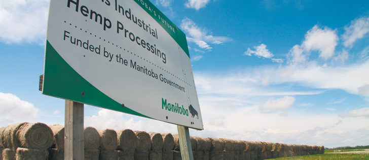 The Plains Industrial Hemp Processing plant would process 40,000 bales annually and could employ up to 30 people. | Robert Arnason photo
