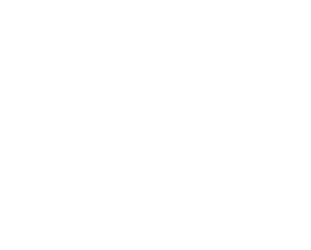 wp100-logo