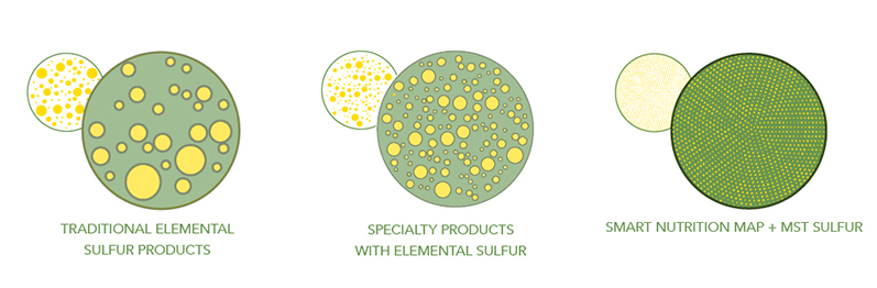Smart Nutrition MAP+MST proves itself in dry conditions